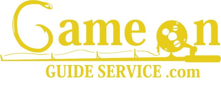 Game On Guide Service